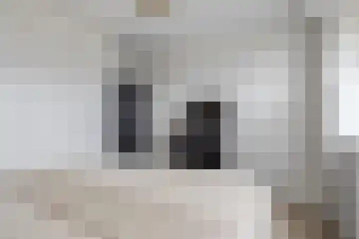 Sperwerstraat 22 Sliedrecht thumbnail 12