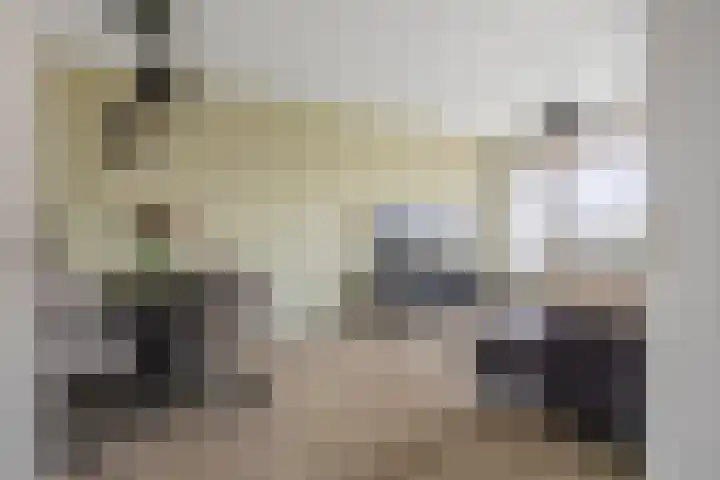 Sperwerstraat 22 Sliedrecht thumbnail 4