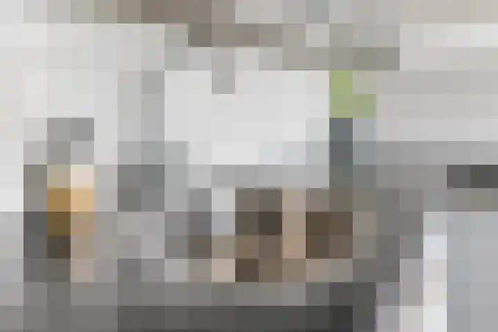 Sperwerstraat 22 Sliedrecht thumbnail 9