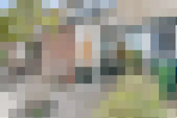 Sperwerstraat 25 Vianen thumbnail 39