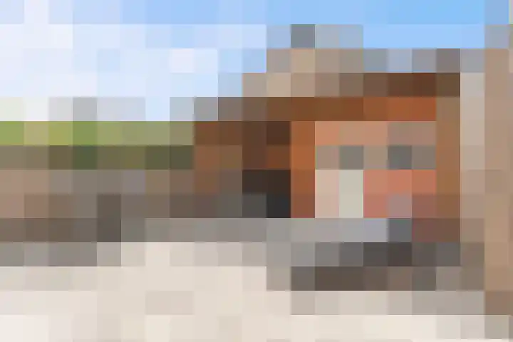 Sperwerstraat 25 Vianen thumbnail 4