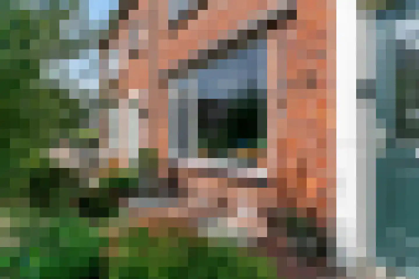 Sperwerstraat 3 Alphen aan den Rijn thumbnail 22