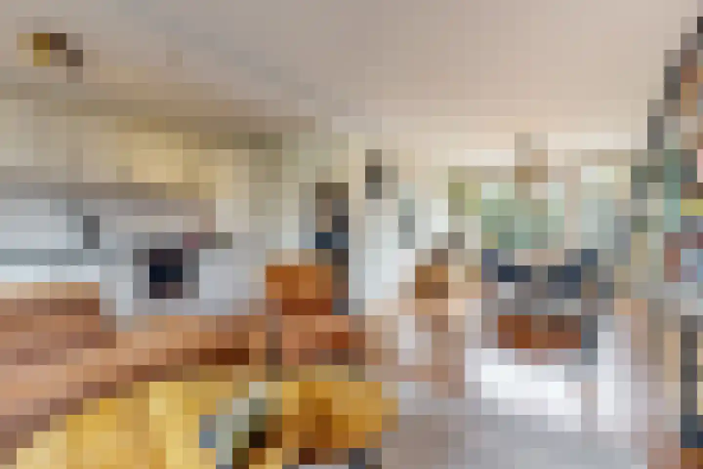 Sperwerstraat 3 Alphen aan den Rijn thumbnail 6