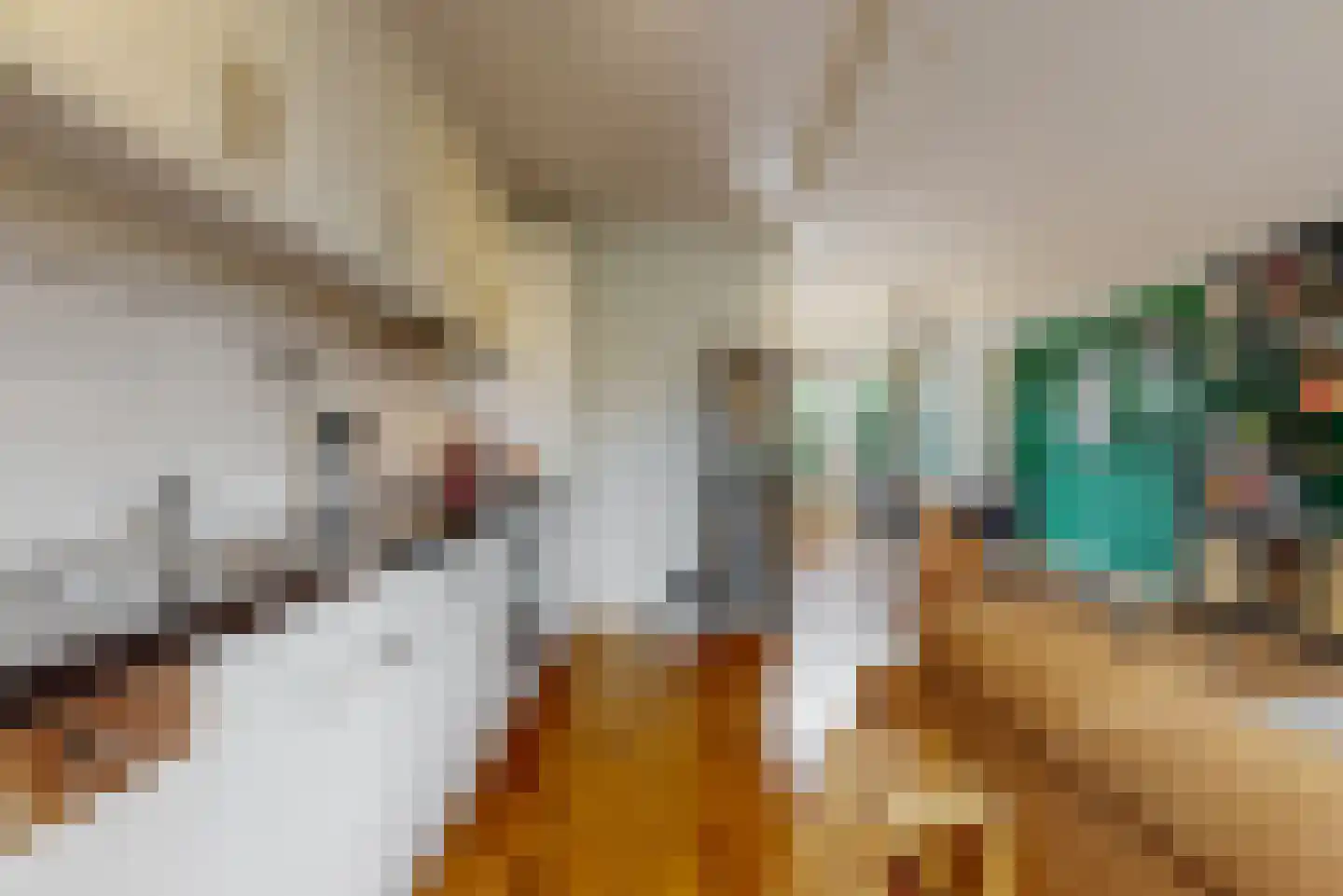 Sperwerstraat 3 Alphen aan den Rijn thumbnail 8