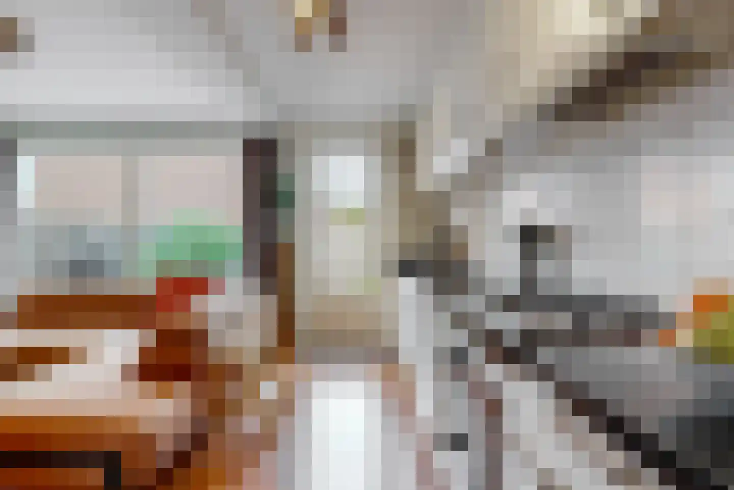 Sperwerstraat 3 Alphen aan den Rijn thumbnail 9