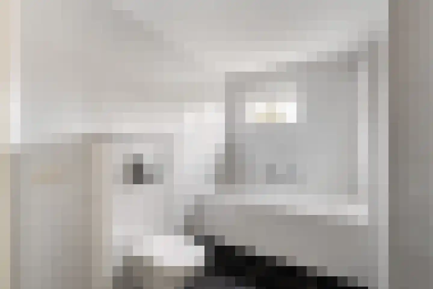 Sperwerstraat 3 Putten thumbnail 25