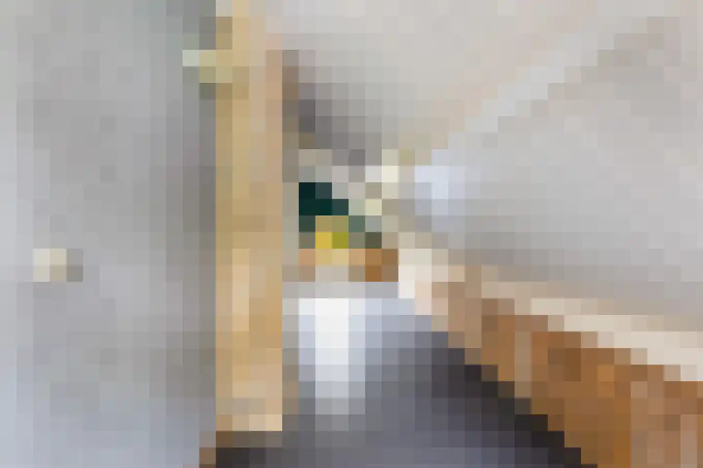 Sperwerstraat 3 Putten thumbnail 27