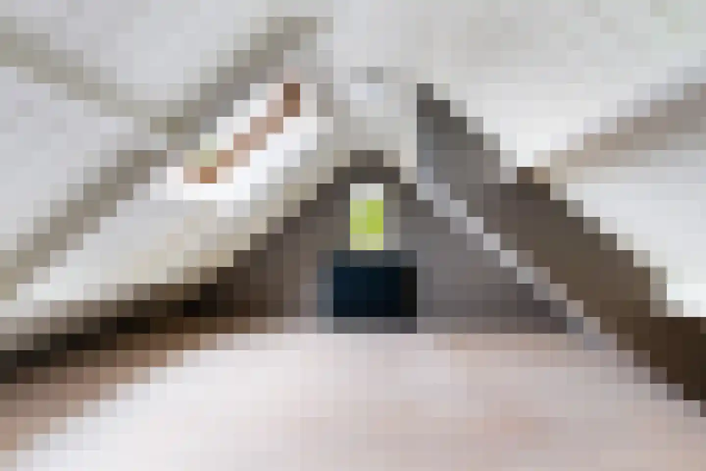 Sperwerstraat 3 Putten thumbnail 31