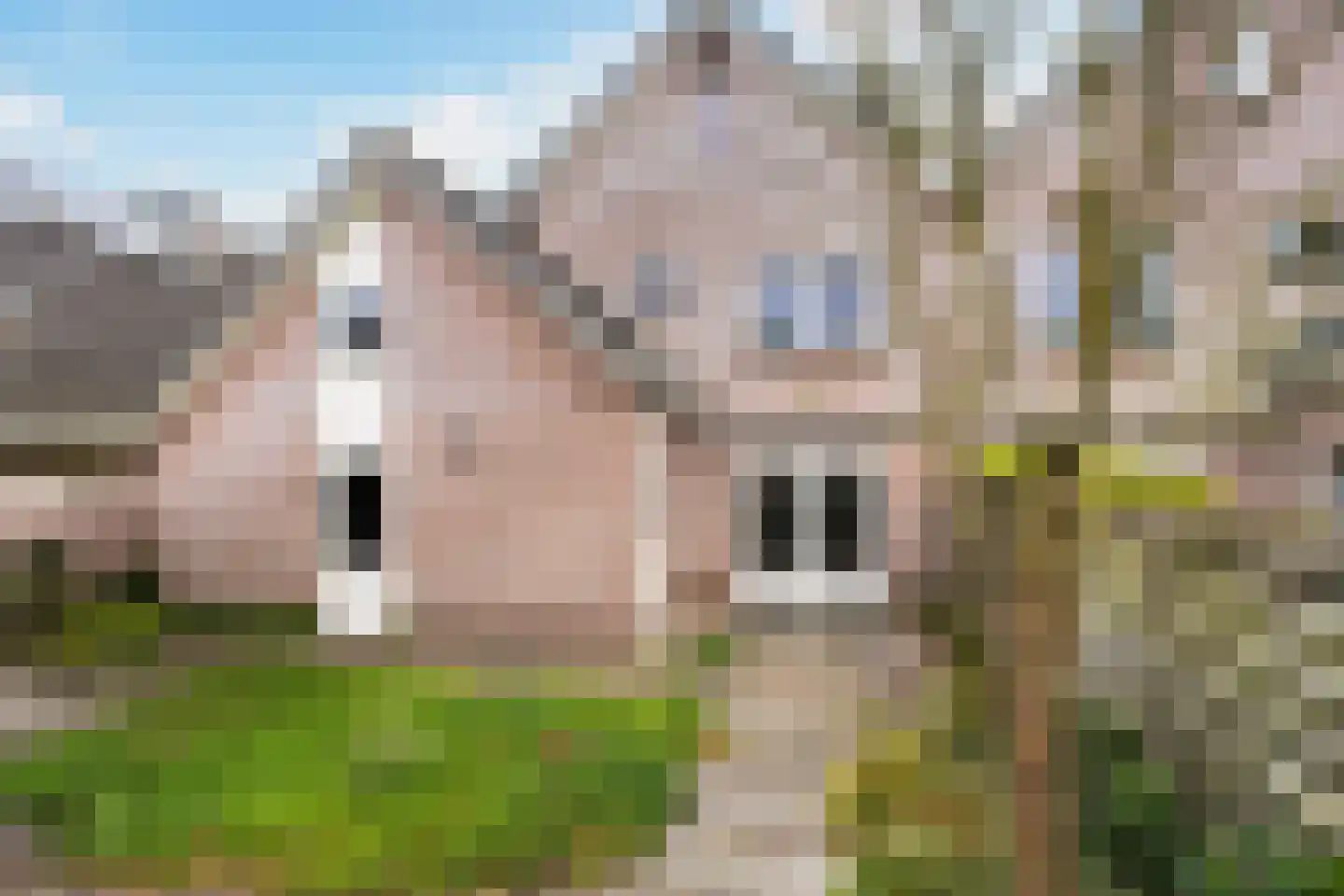 Sperwerstraat 3 Putten thumbnail 34
