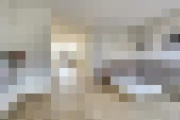Sperwerstraat 3 Venray thumbnail 10