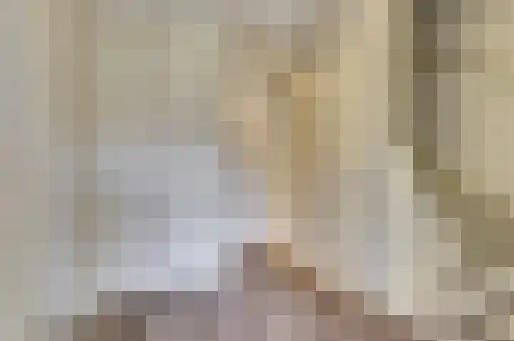 Sperwerstraat 3 Venray thumbnail 33