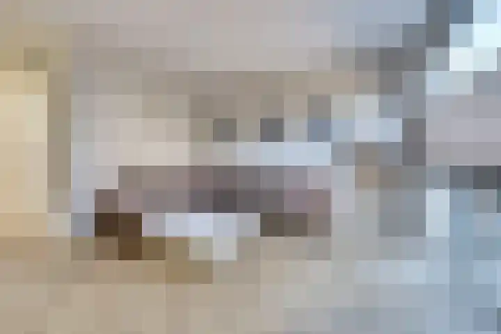 Sperwerstraat 3 Venray thumbnail 9