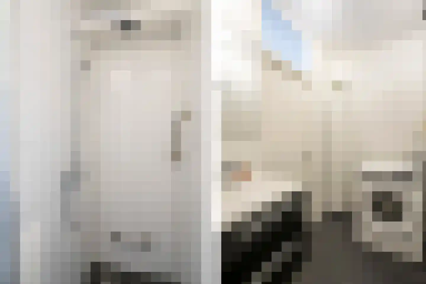 Sperwerstraat 31 Sliedrecht thumbnail 21