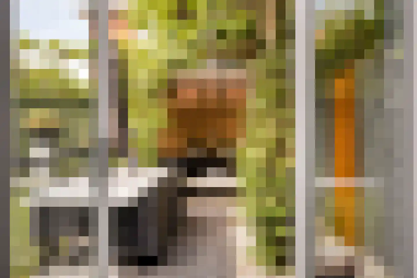 Sperwerstraat 34 Venray thumbnail 18