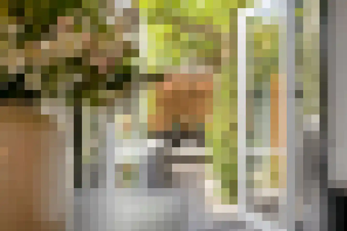 Sperwerstraat 34 Venray thumbnail 22