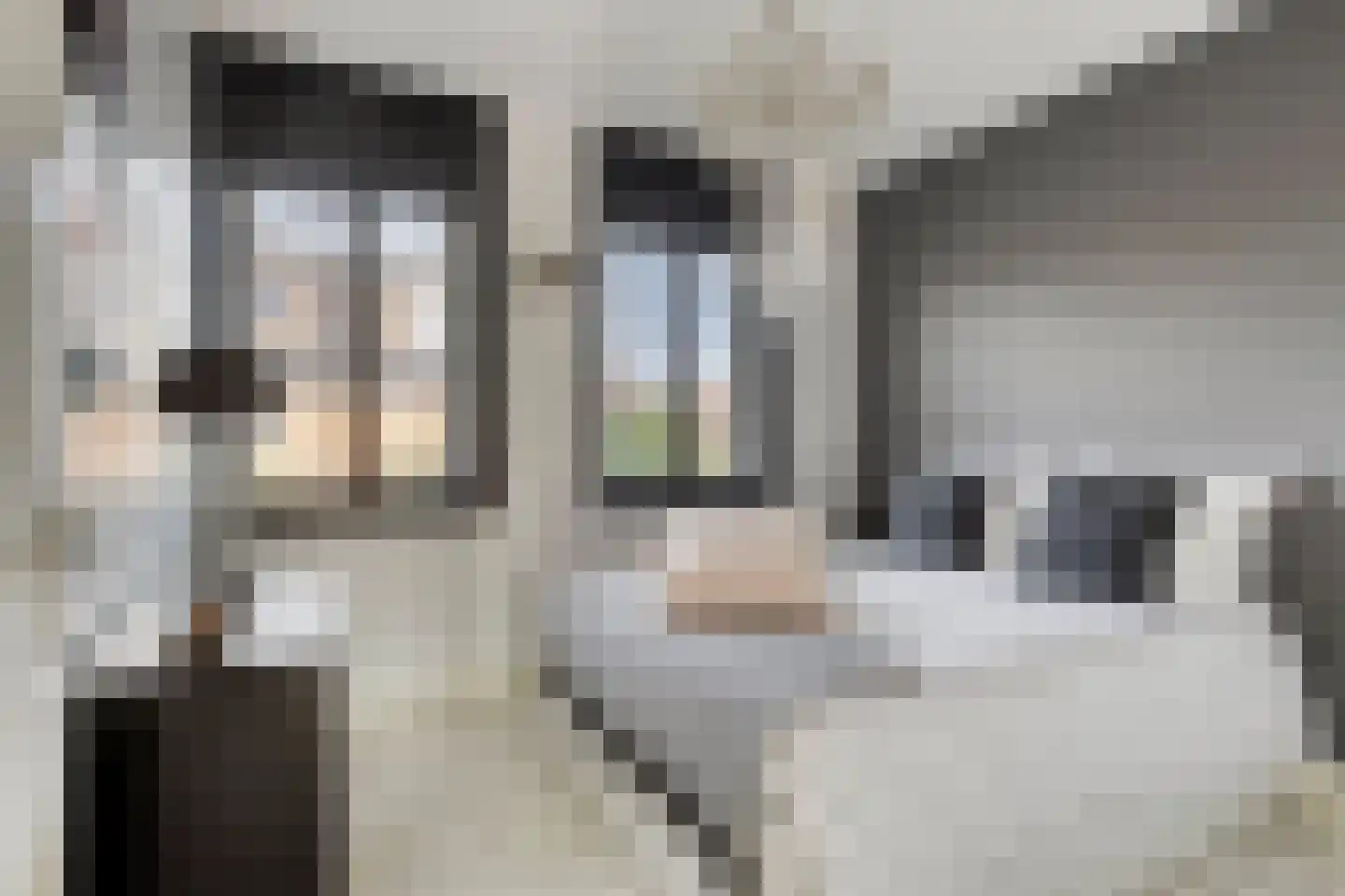 Sperwerstraat 34 Venray thumbnail 29