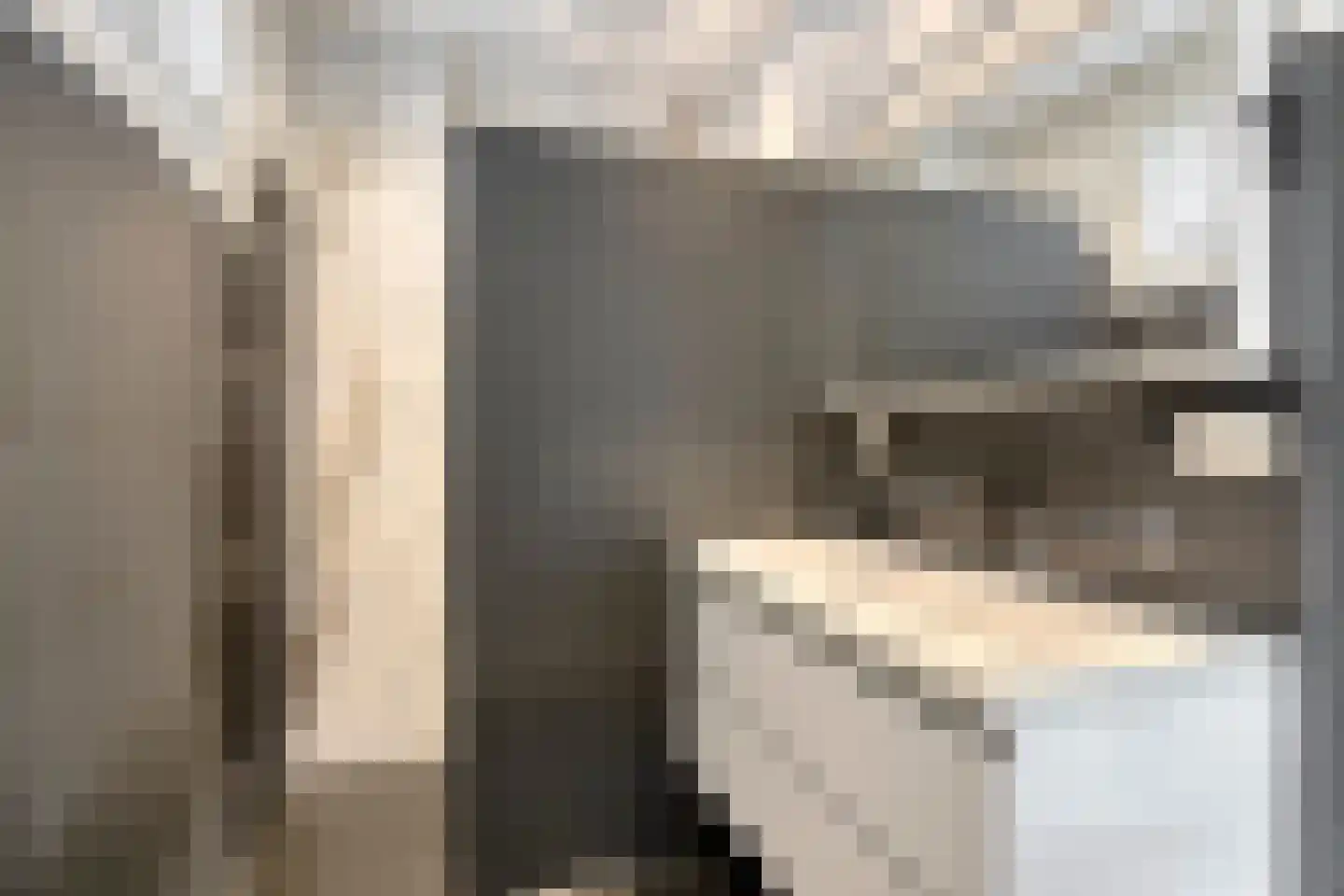 Sperwerstraat 34 Venray thumbnail 33