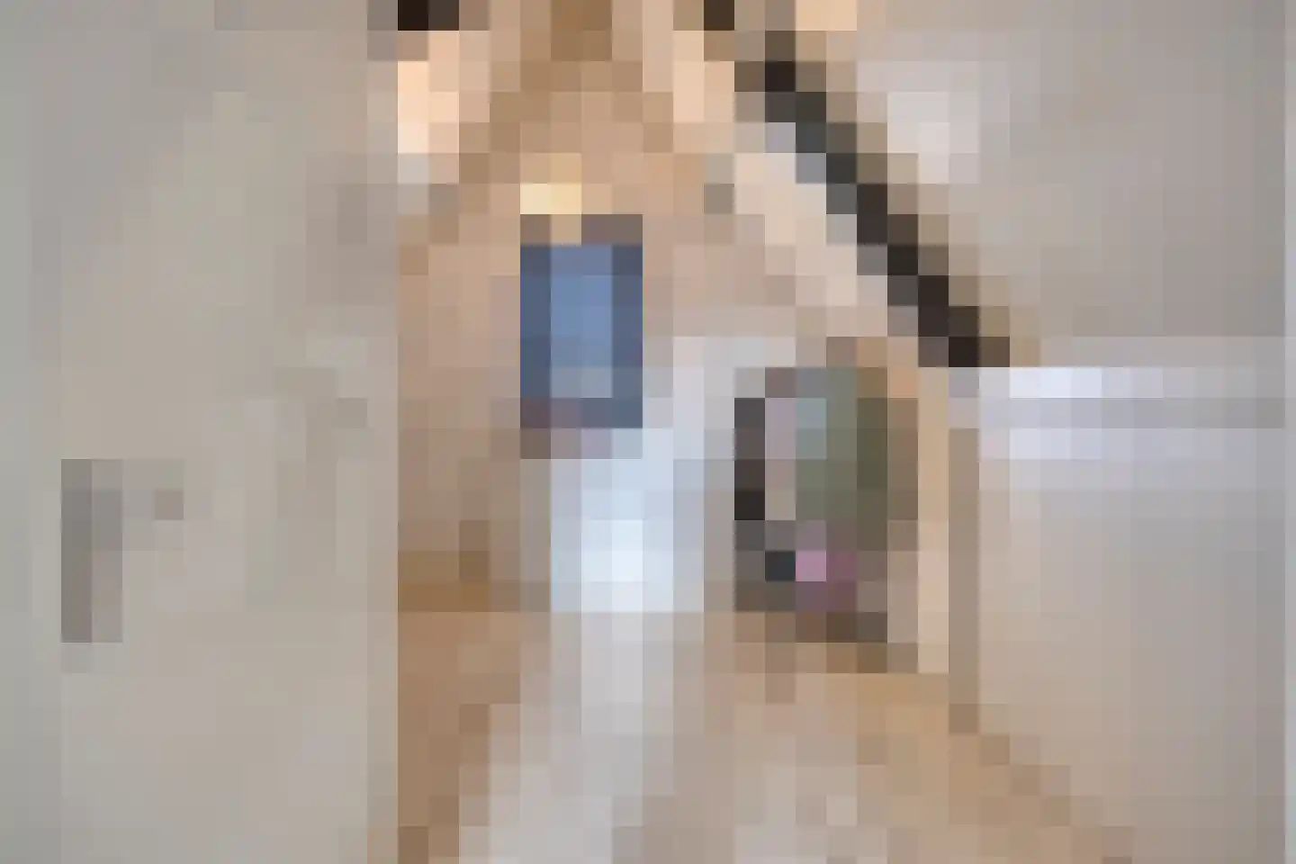 Sperwerstraat 34 Venray thumbnail 37