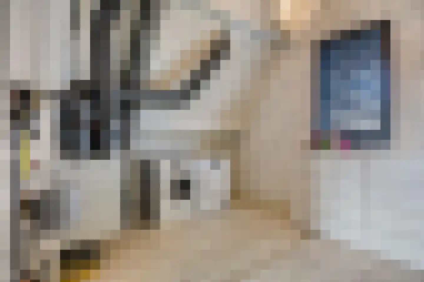 Sperwerstraat 34 Venray thumbnail 38