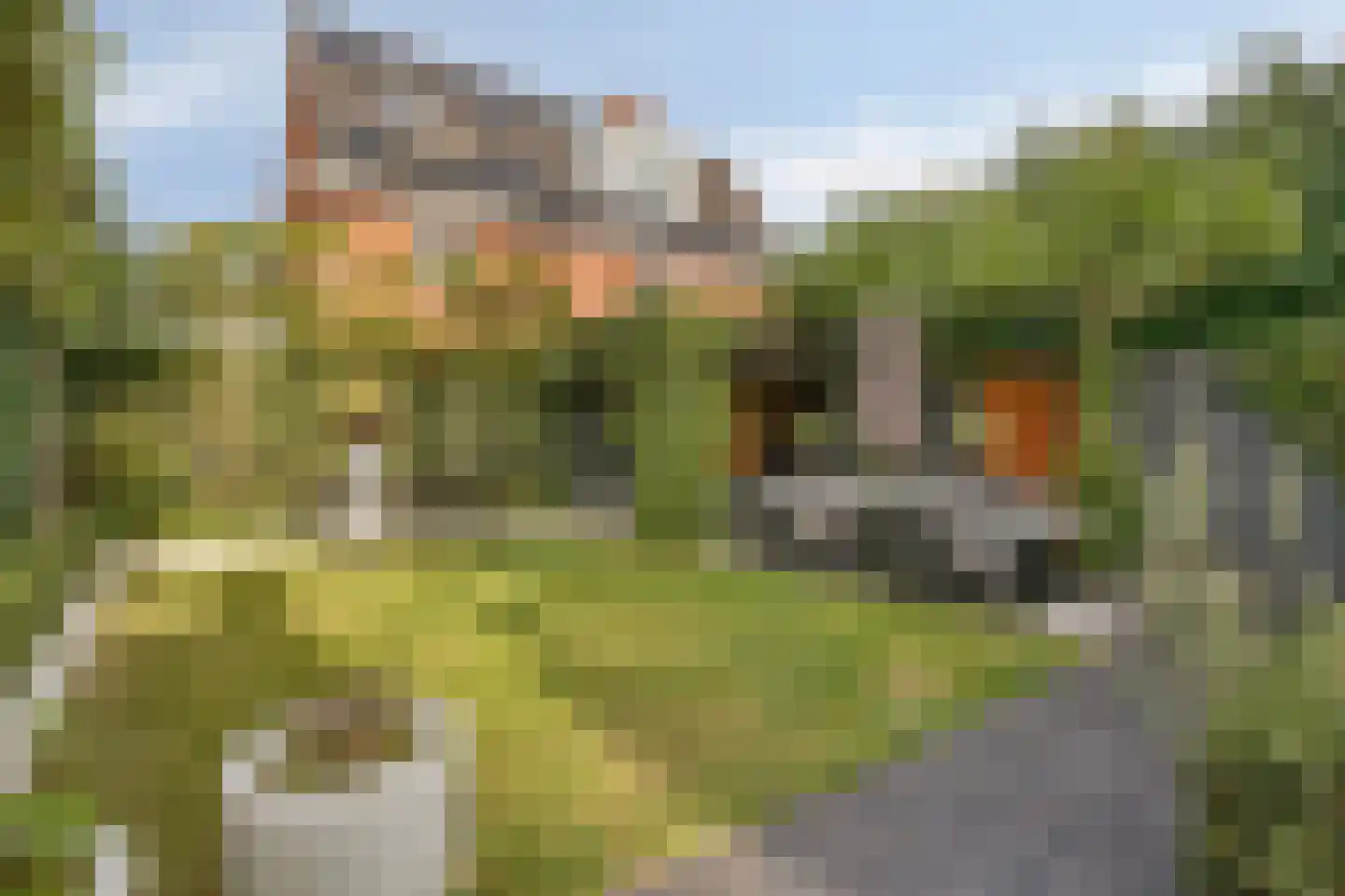 Sperwerstraat 34 Venray thumbnail 43