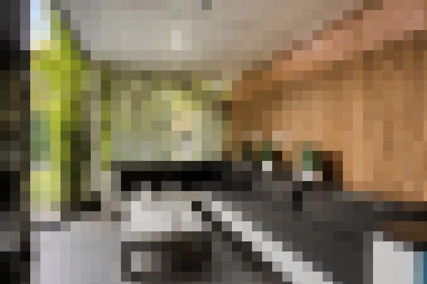 Sperwerstraat 34 Venray thumbnail 48