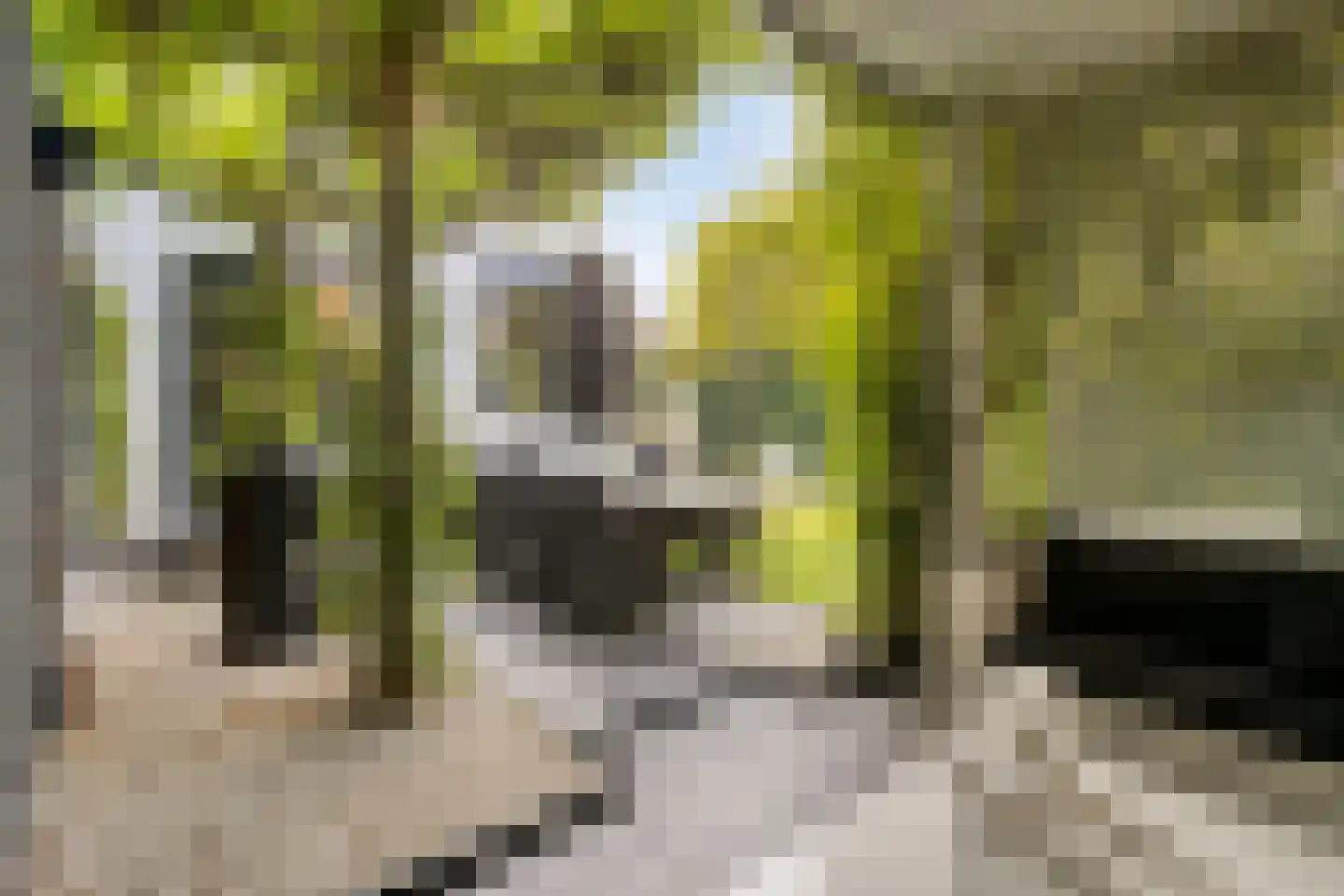 Sperwerstraat 34 Venray thumbnail 49