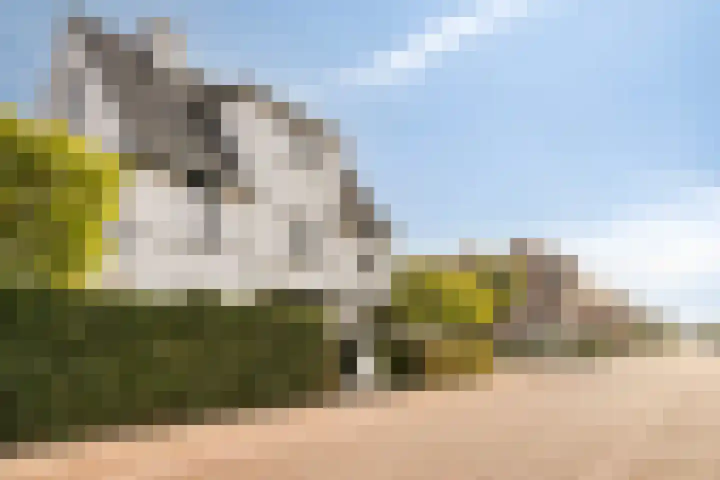 Sperwerstraat 34 Venray thumbnail 52