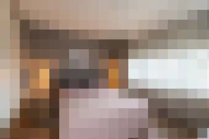 Sperwerstraat 37 Sliedrecht thumbnail 10