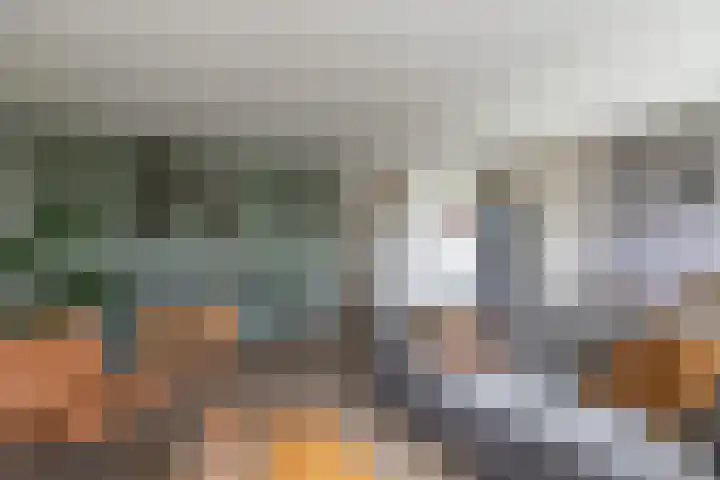 Sperwerstraat 37 Sliedrecht thumbnail 8