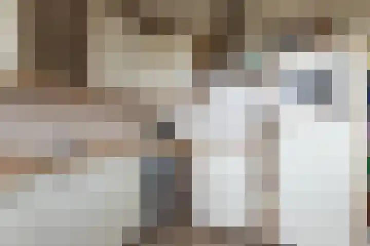 Sperwerstraat 37 Sliedrecht thumbnail 9
