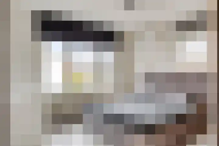 Sperwerstraat 39 Helmond thumbnail 4