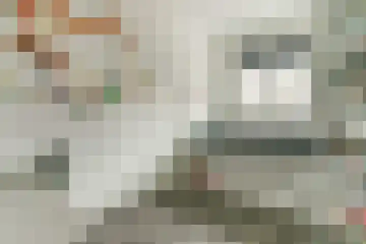 Sperwerstraat 4 Venray thumbnail 22
