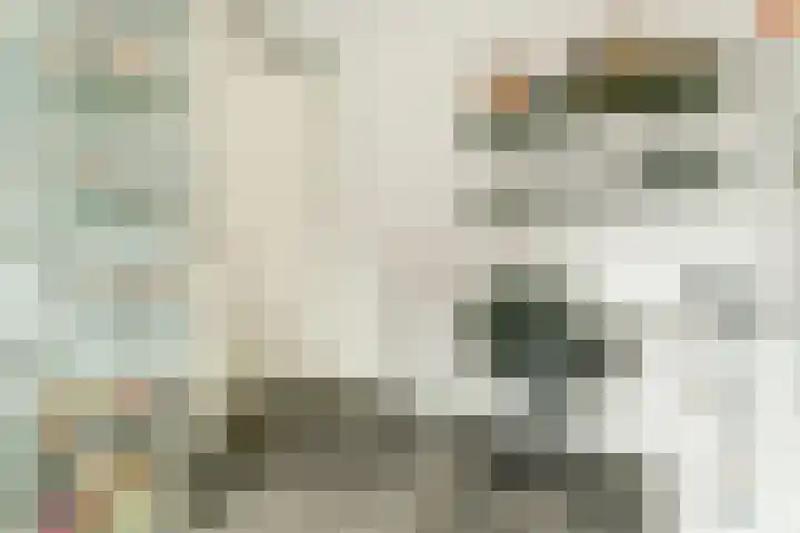 Sperwerstraat 4 Venray thumbnail 23