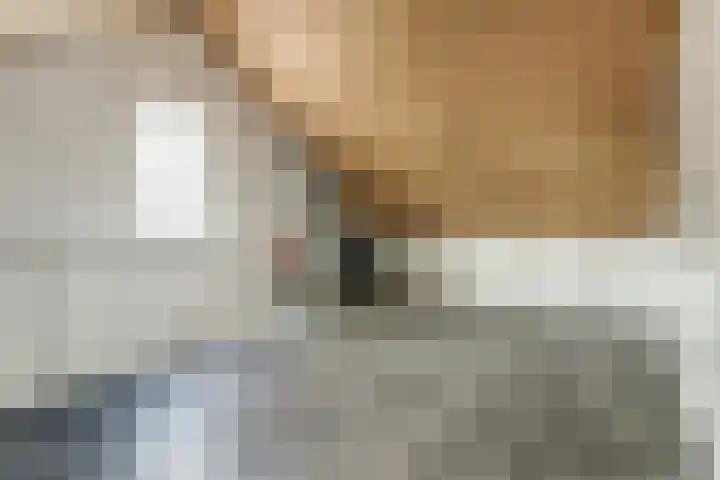 Sperwerstraat 4 Venray thumbnail 27