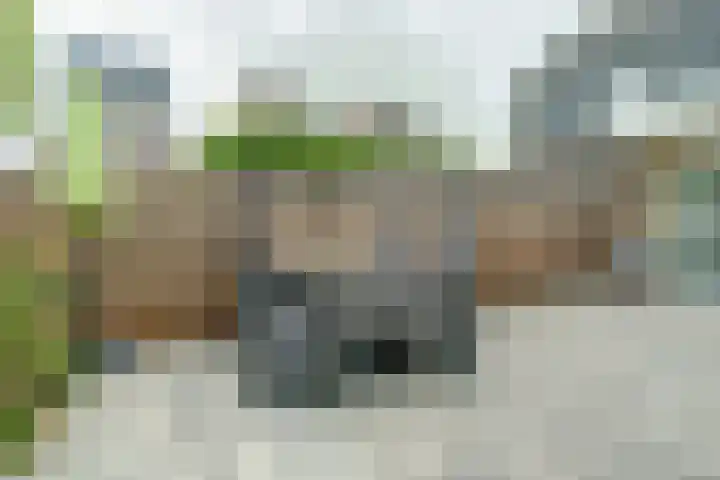 Sperwerstraat 4 Venray thumbnail 31