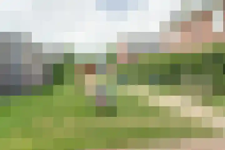 Sperwerstraat 4 Venray thumbnail 36