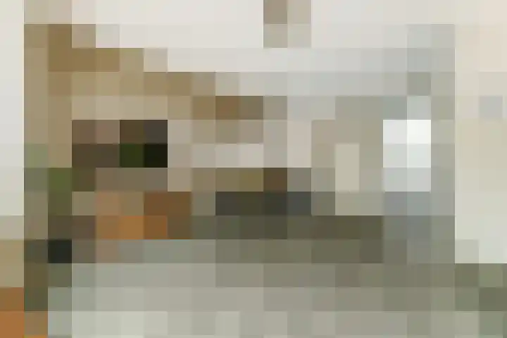 Sperwerstraat 4 Venray thumbnail 4