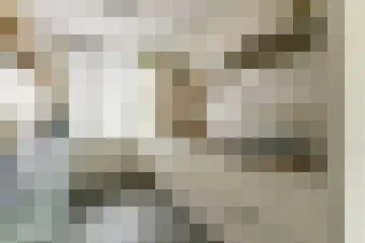 Sperwerstraat 4 Venray thumbnail 8