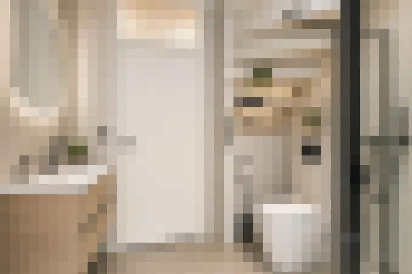 Sperwerstraat 40 Didam thumbnail 17