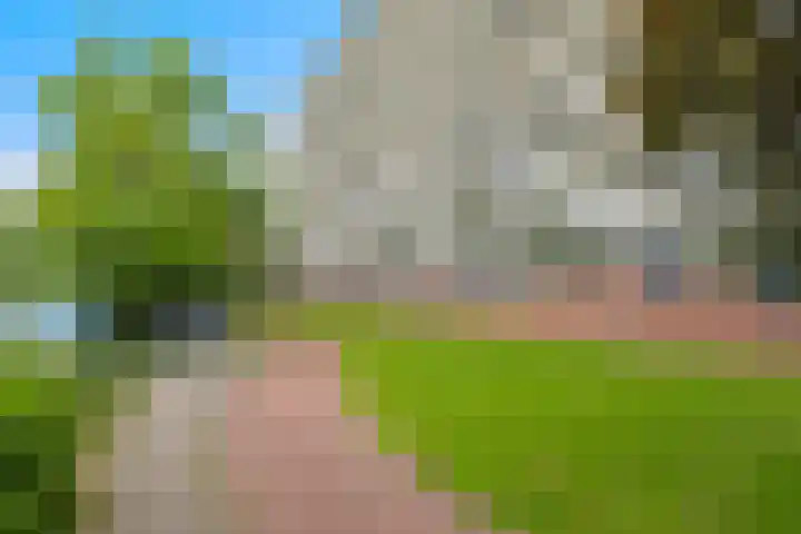 Sperwerstraat 46 Sliedrecht thumbnail 9