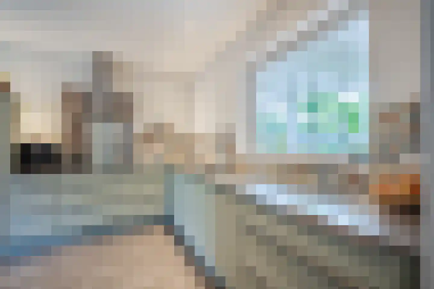 Sperwerstraat 48 Oosterhout thumbnail 12