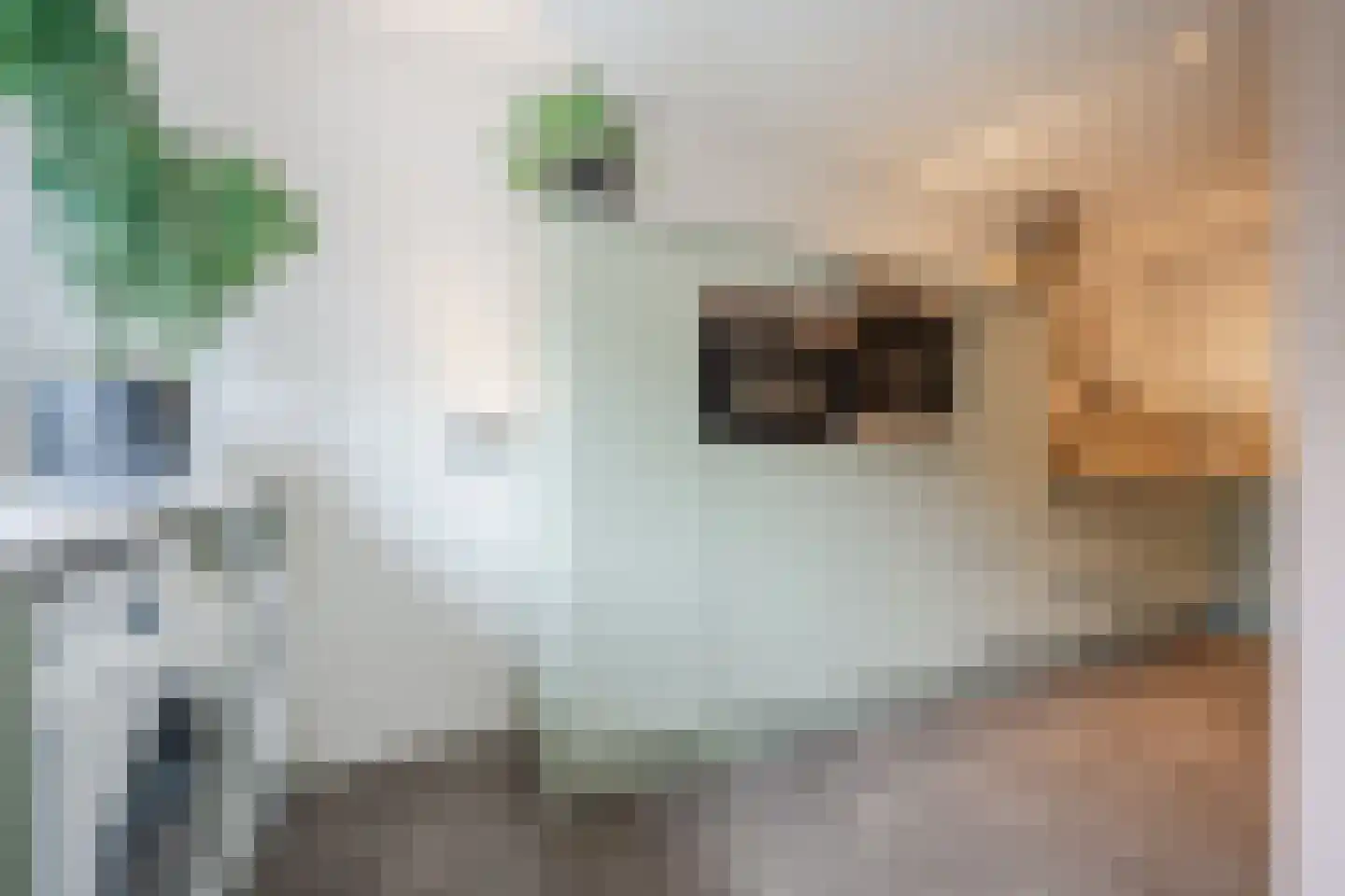 Sperwerstraat 48 Oosterhout thumbnail 19