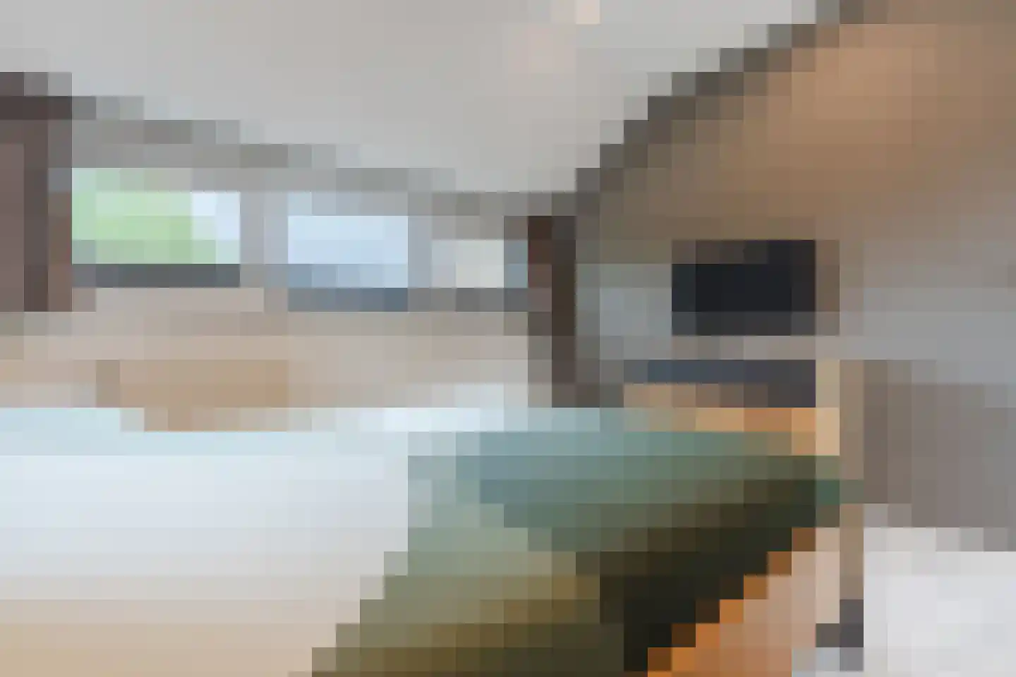 Sperwerstraat 48 Oosterhout thumbnail 28