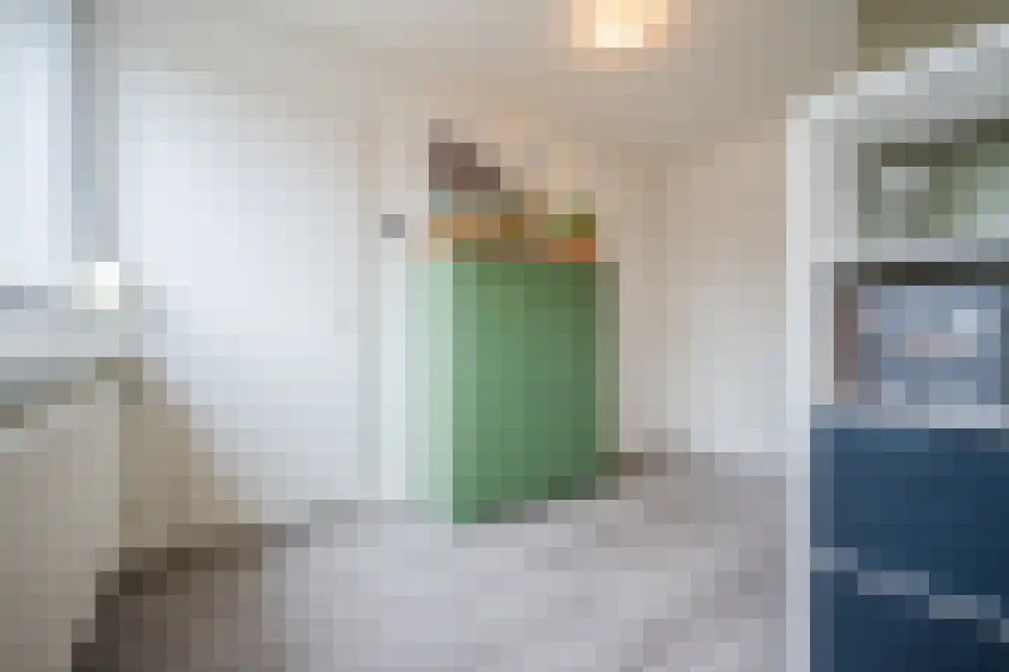 Sperwerstraat 48 Oosterhout thumbnail 35
