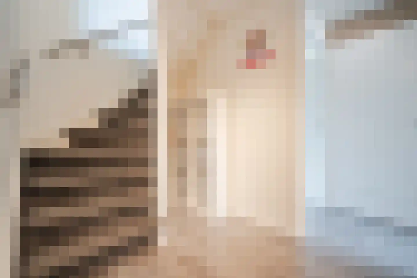 Sperwerstraat 48 Oosterhout thumbnail 39