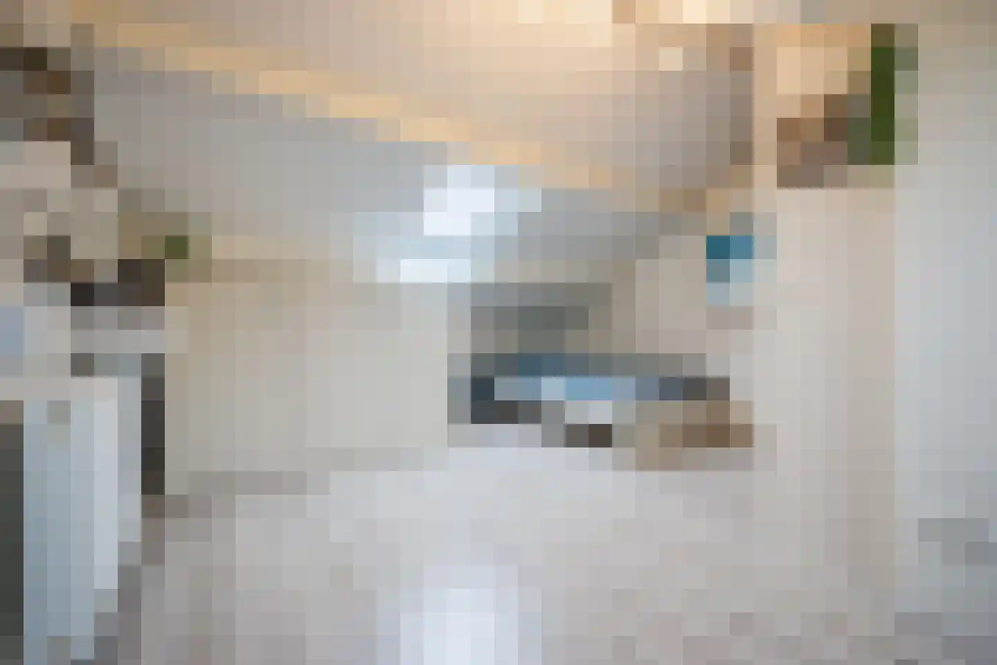 Sperwerstraat 48 Oosterhout thumbnail 41