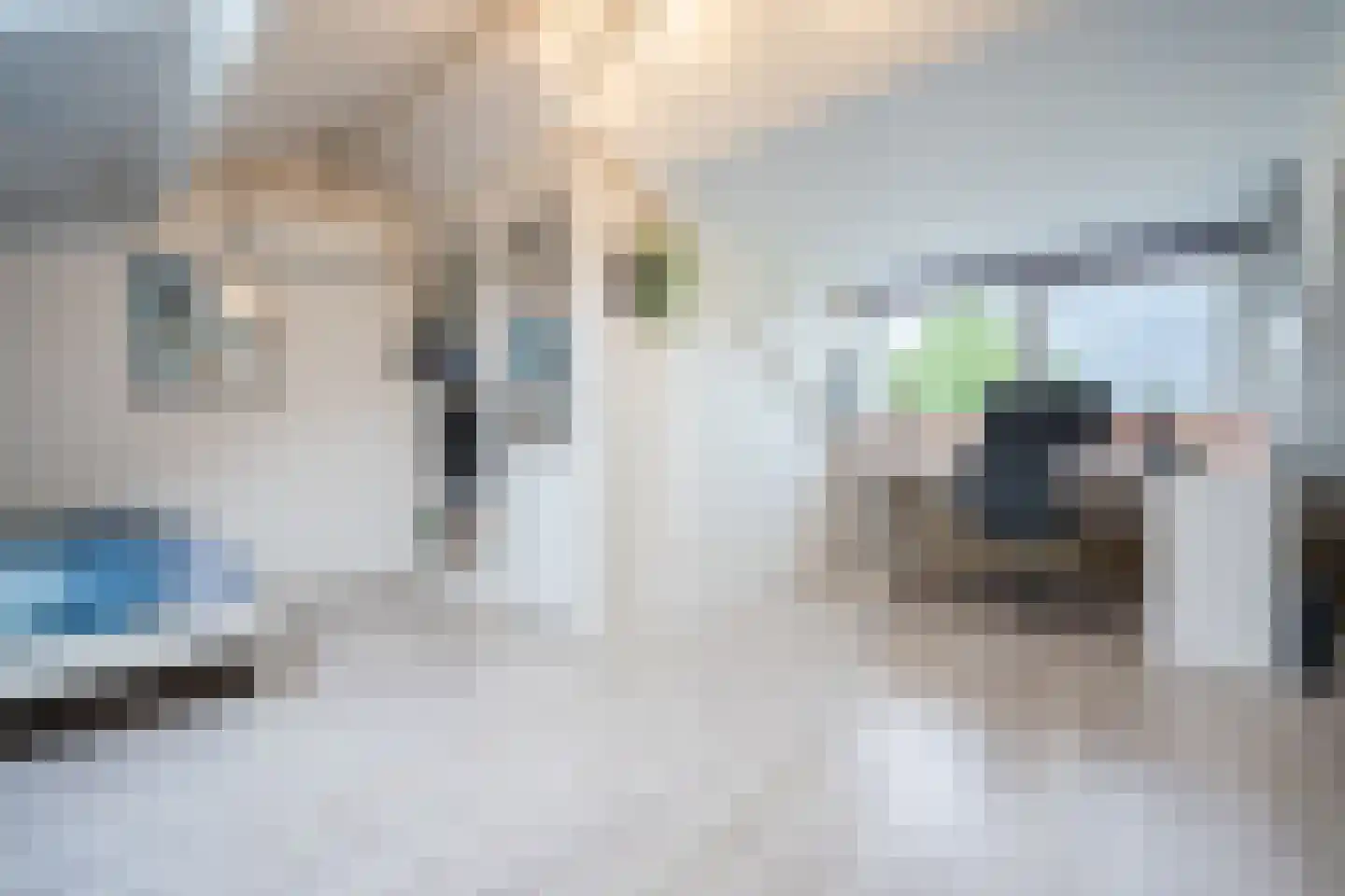Sperwerstraat 48 Oosterhout thumbnail 43