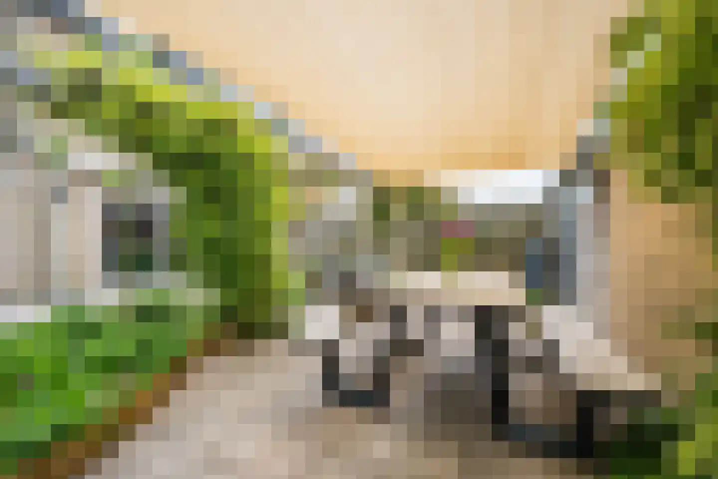 Sperwerstraat 48 Oosterhout thumbnail 47