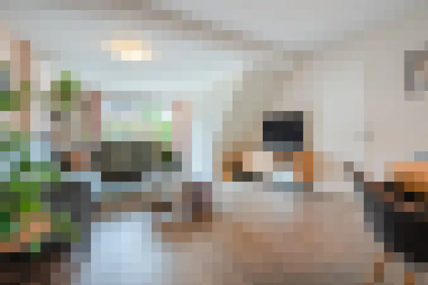 Sperwerstraat 48 Oosterhout thumbnail 5