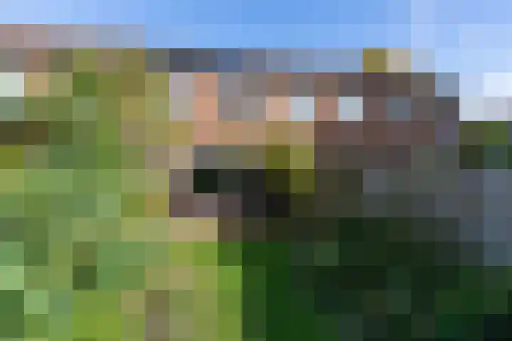 Sperwerstraat 5 Brummen thumbnail 4
